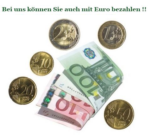 euro.jpg..jpg